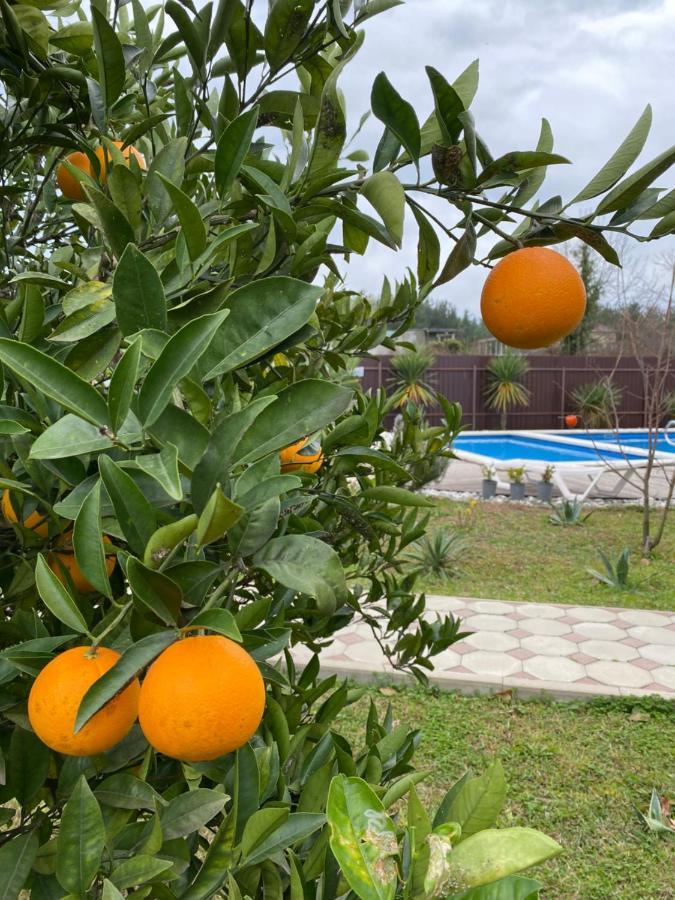 Hotel Solntse Abkhazii Lidzava Exteriér fotografie