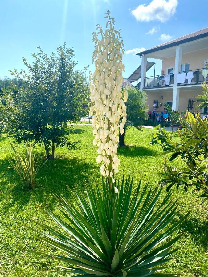 Hotel Solntse Abkhazii Lidzava Exteriér fotografie